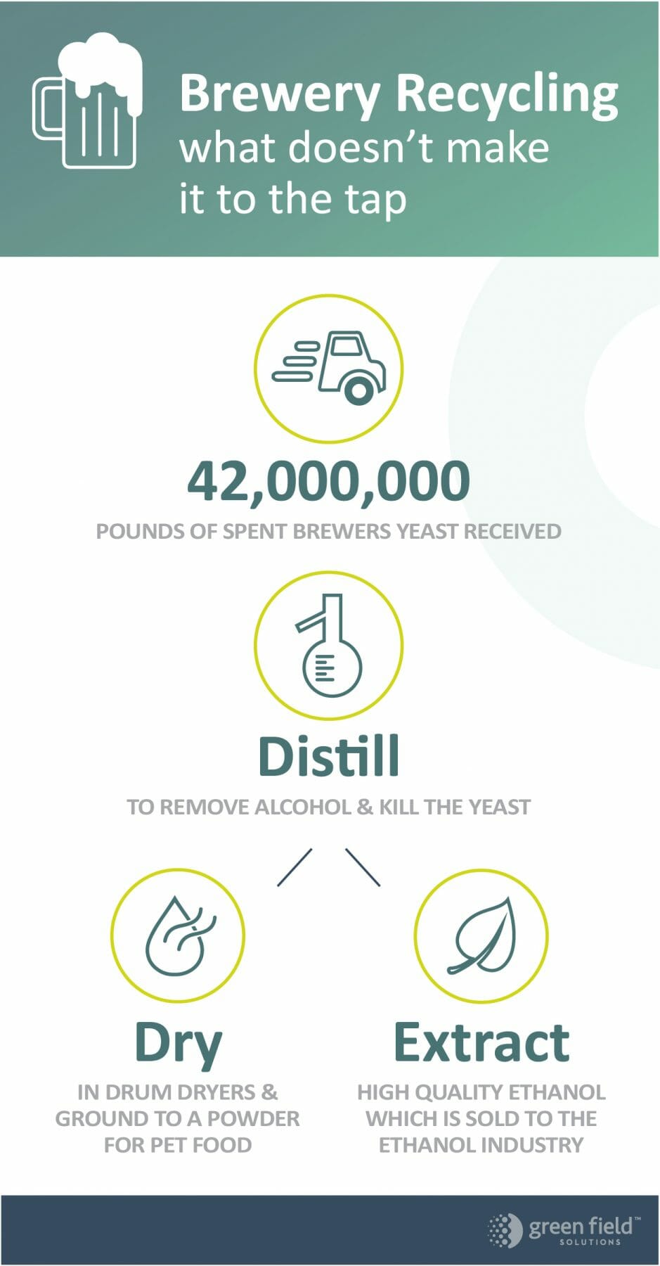 Beer Byproduct Infographic