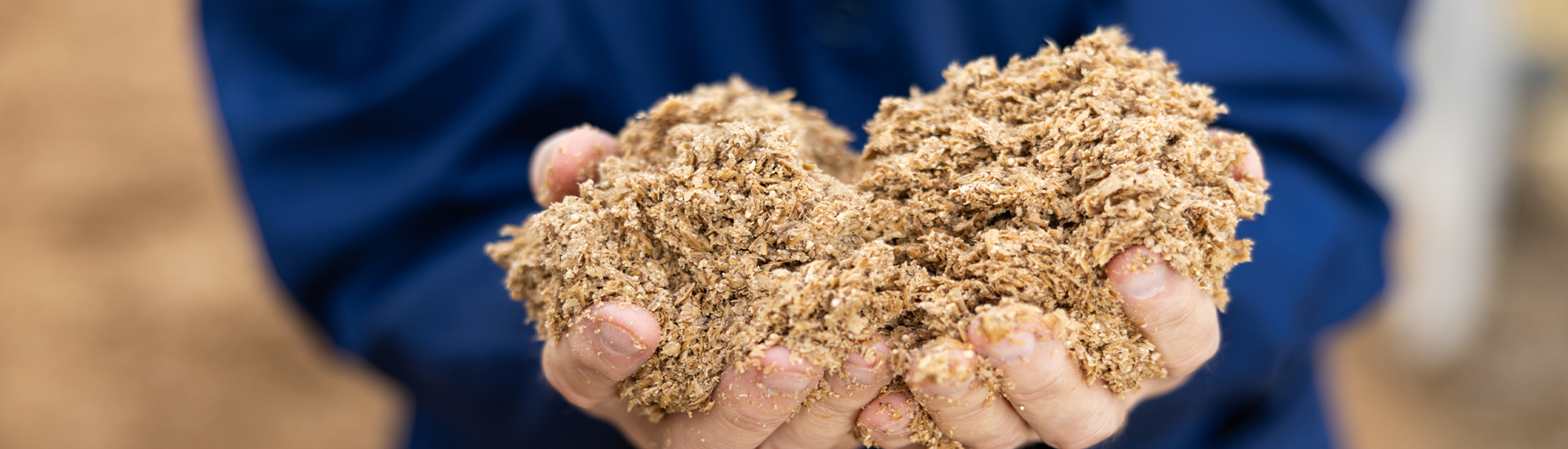 spent brewers grains