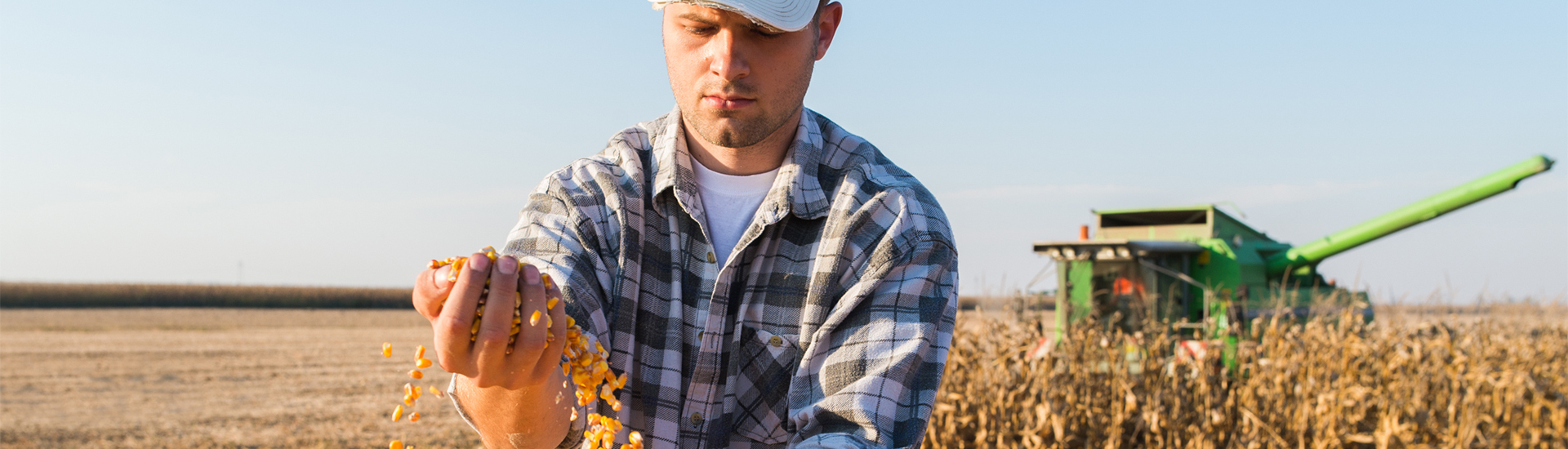 Sustainable Farming Corn