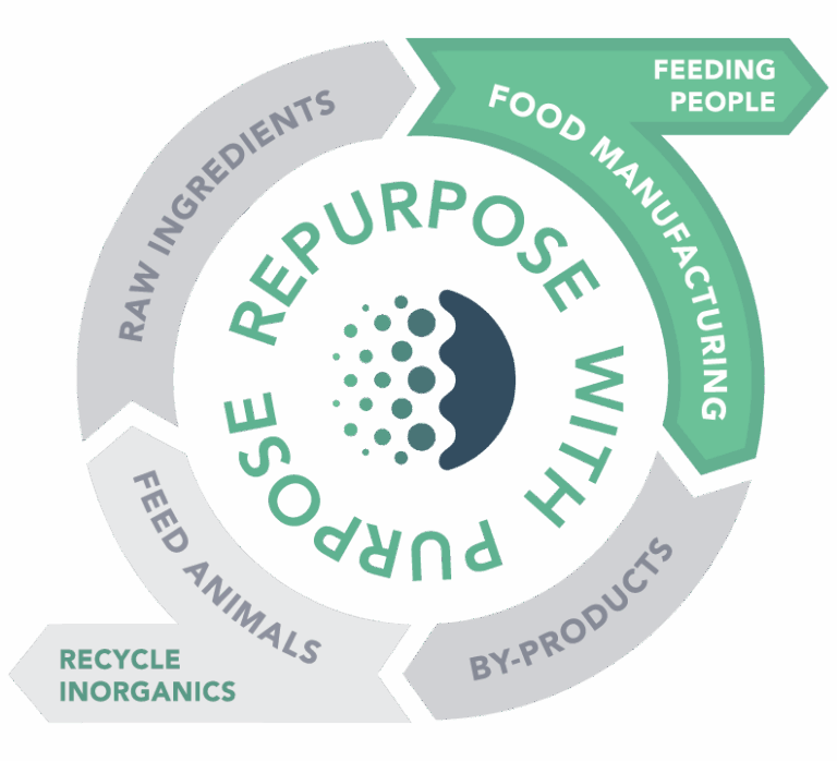 GFS's circular food infographic, highlighting food Manufacturing
