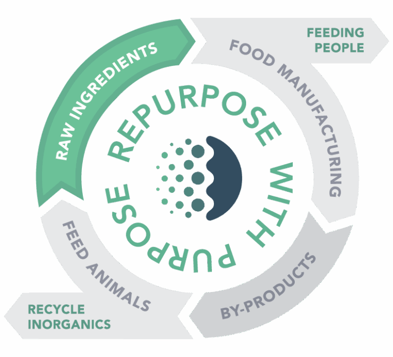 GFS Circular Food highlighting raw ingredients