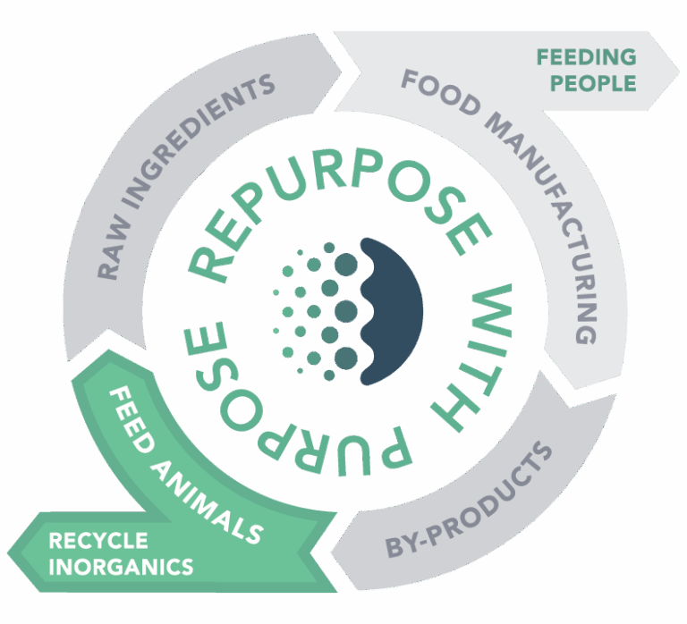 GFS circular food highlighting recycling and animal feed ingredients.
