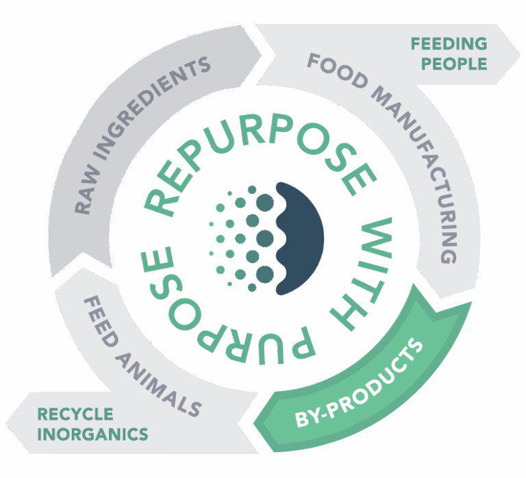 GFS circular food infographic highlighting food byproducts
